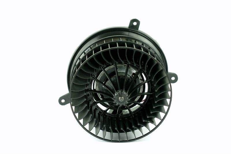 Salongipuhur, NISSENS 87152