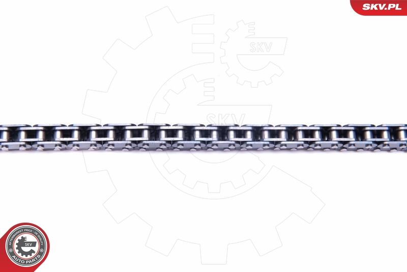 ESEN SKV 21SKV186 Timing Chain Kit