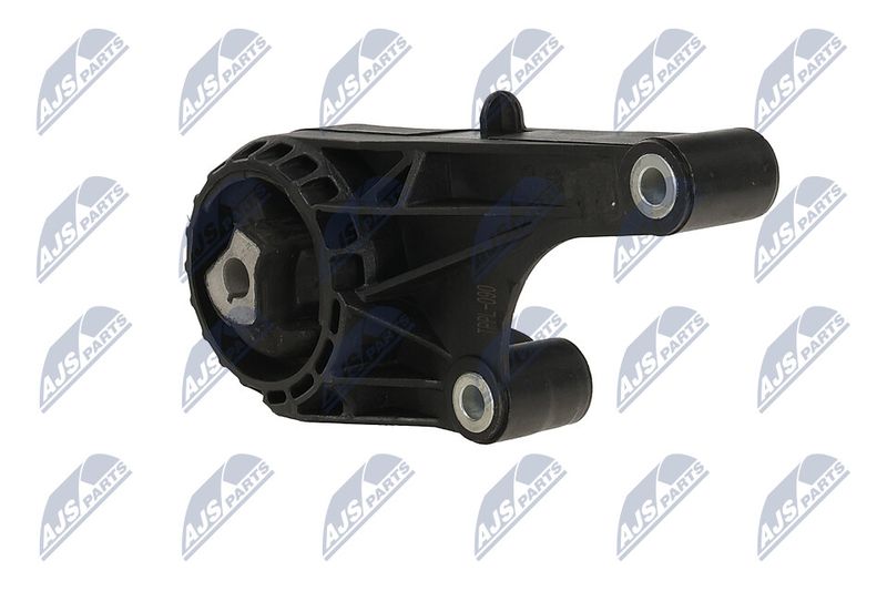 Paigutus, Mootor, NTY ZPS-PL-090