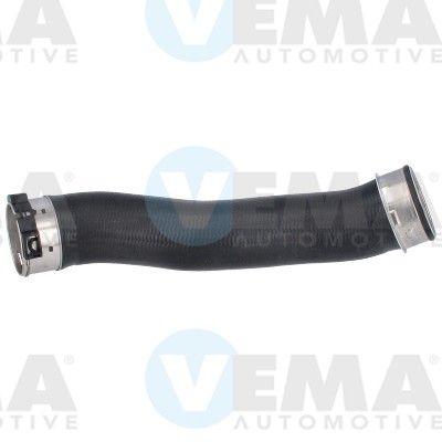 VE55770.JPG