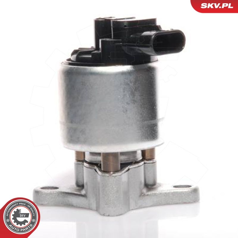 EGR-klapp, ESEN SKV 14SKV041
