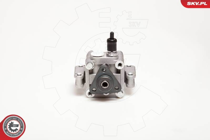 ESEN SKV 10SKV109 Hydraulic Pump, steering