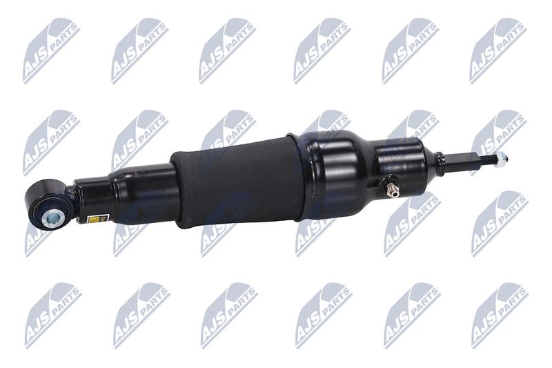 Amort, NTY A-NS-051