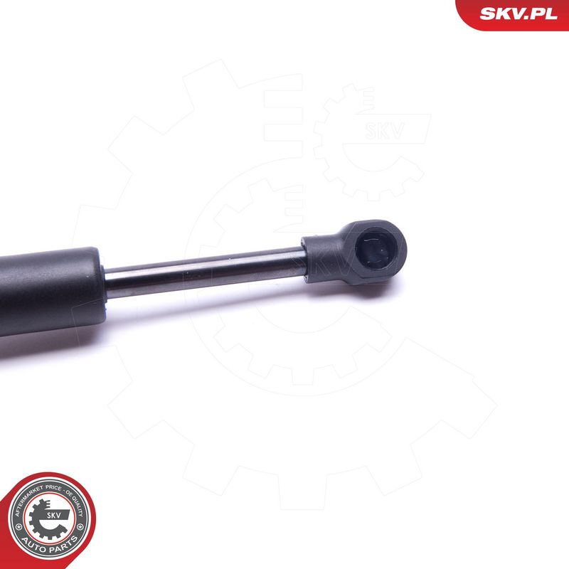 Gaasivedru, pagasi-, veoruum, ESEN SKV 52SKV592