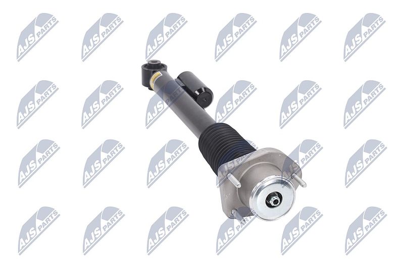 Amort, NTY A-LR-019