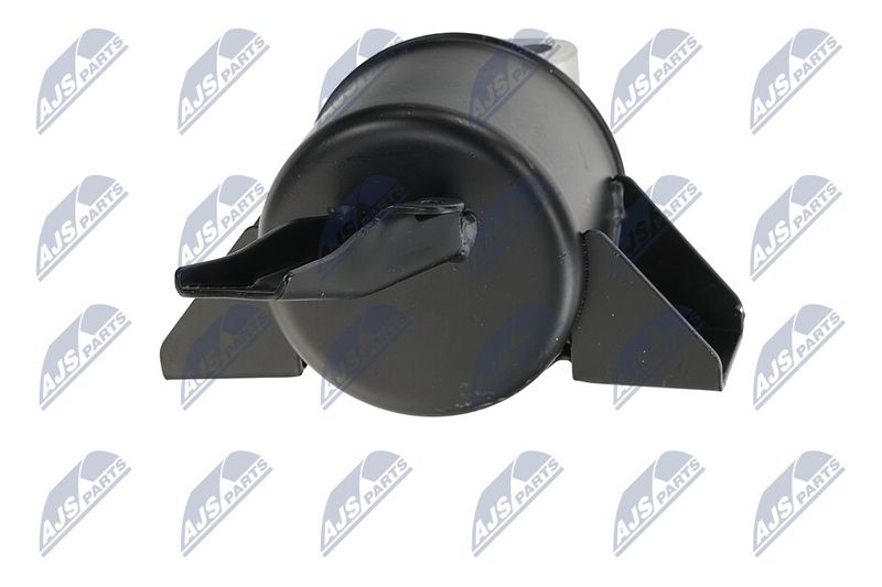 Paigutus, Mootor, NTY ZPS-DW-010