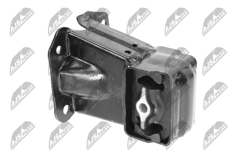 Paigutus, Mootor, NTY ZPS-CH-033