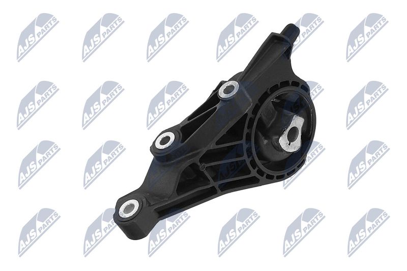 Paigutus, Mootor, NTY ZPS-PL-005