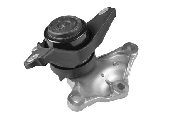 TEDGUM TED60245 Mounting, engine