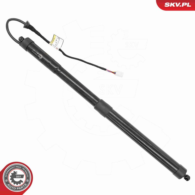ESEN SKV 52SKV216 Electric Motor, tailgate