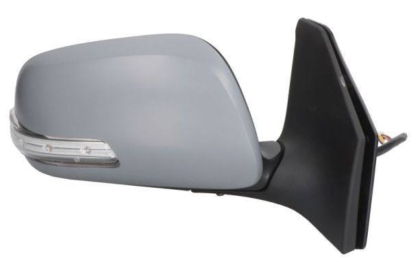 BLIC 5402-04-1139211P Exterior Mirror