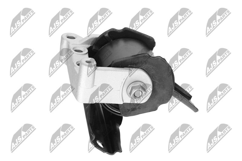 Paigutus, Mootor, NTY ZPS-CH-071