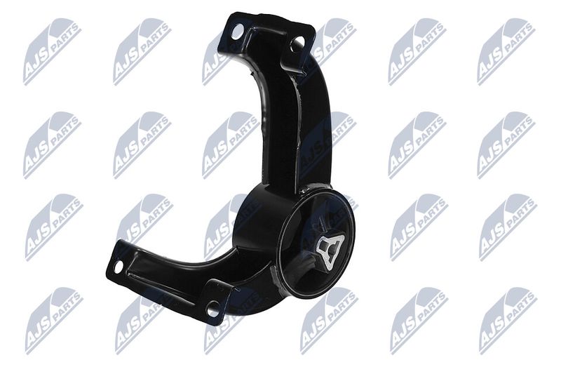 Paigutus, Mootor, NTY ZPS-CH-169