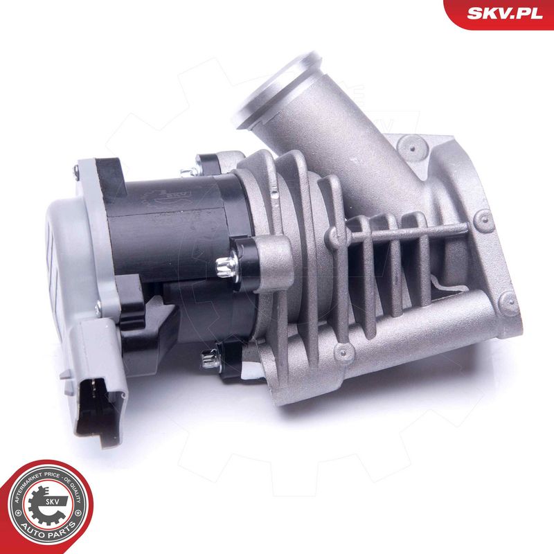 EGR-klapp, ESEN SKV 14SKV173