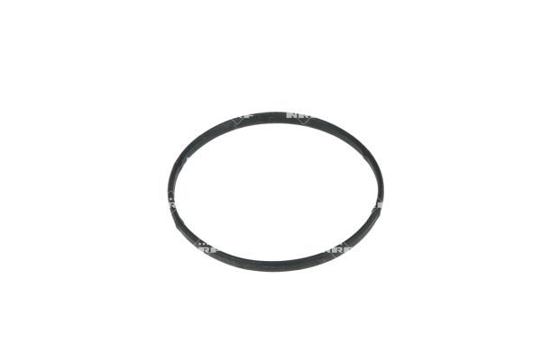 NRF 725297 Thermostat, coolant