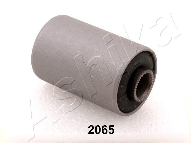 GOM-2065_1.JPG