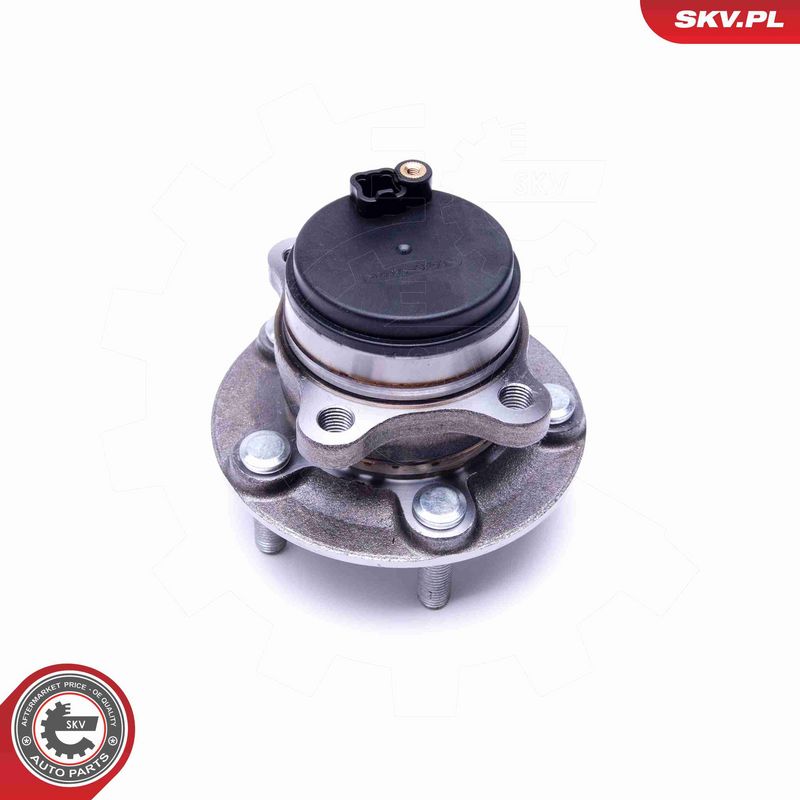 ESEN SKV 29SKV381 Wheel Bearing Kit