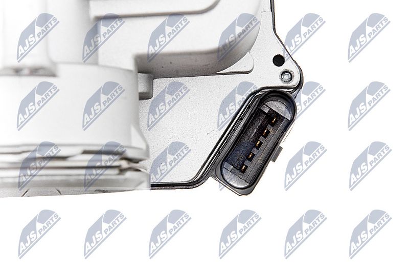 etb-vw-018_5-wm.JPG