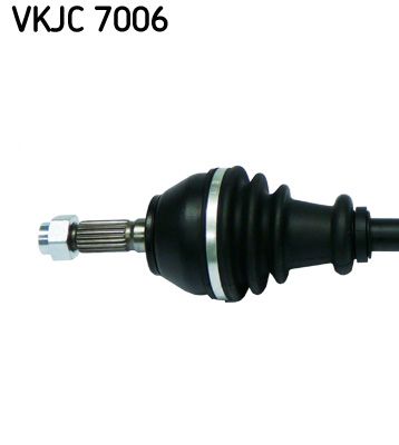 VKJC 7006_2.JPG
