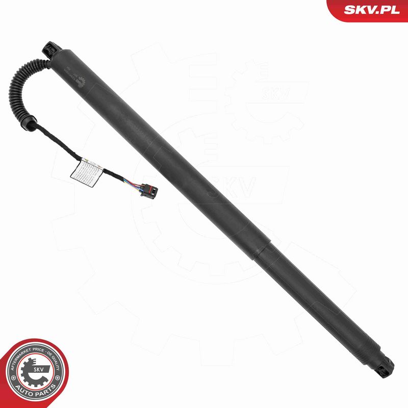 ESEN SKV 52SKV254 Electric Motor, tailgate