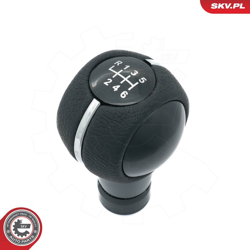 Käigukanginupp, ESEN SKV...