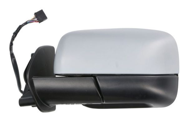 BLIC 5402-57-2001631P Exterior Mirror