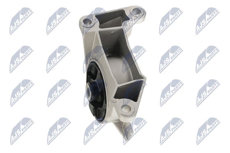 Paigutus, Mootor, NTY ZPS-PL-039