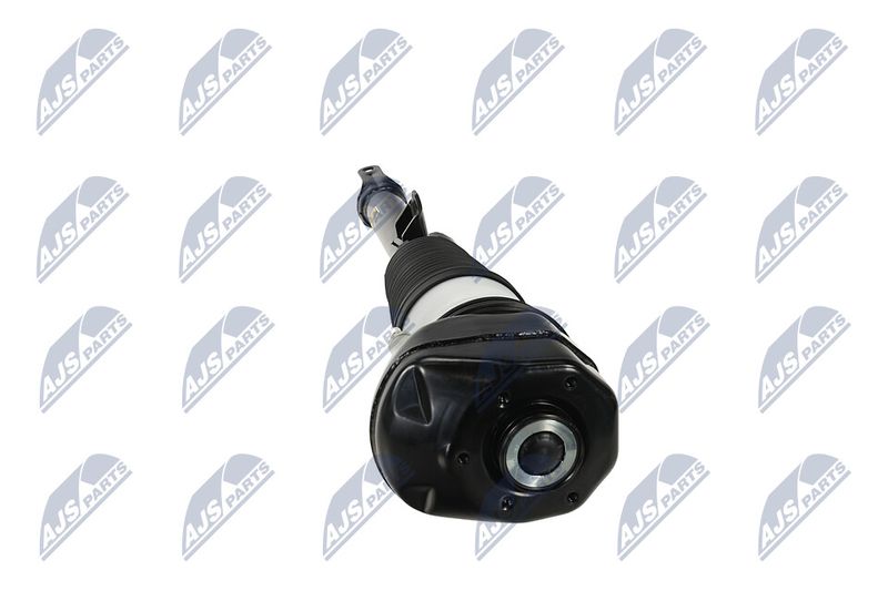 Amort, NTY A-BM-088