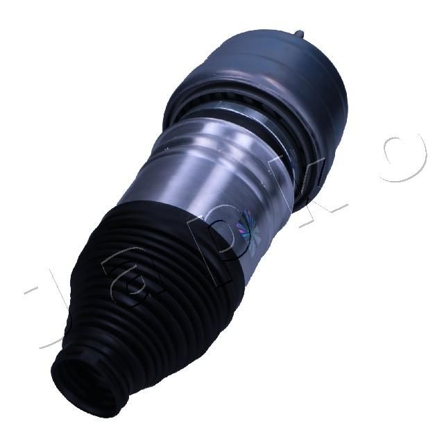 MJAS223_2.JPG