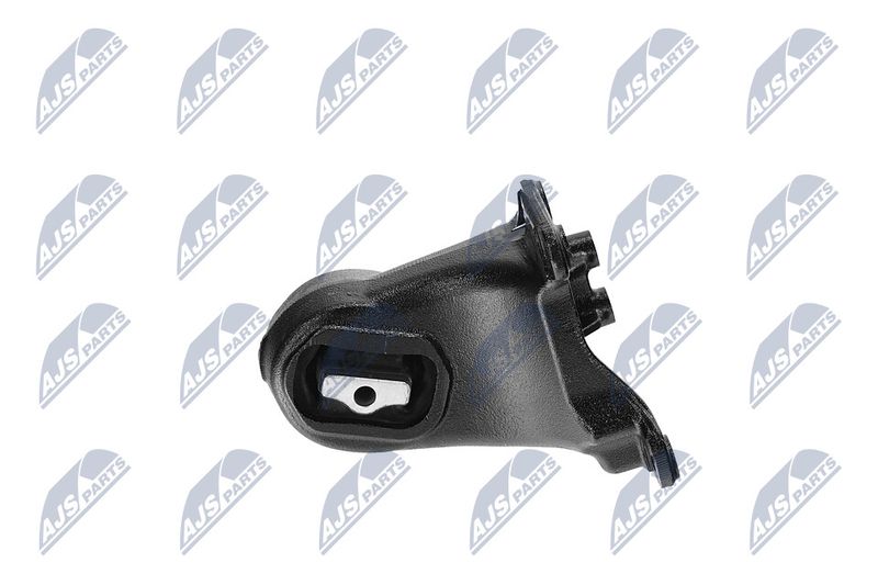 Paigutus, Mootor, NTY ZPS-CH-173