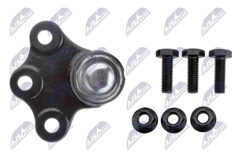 Kande-, juhtliigend, NTY ZSD-PL-006