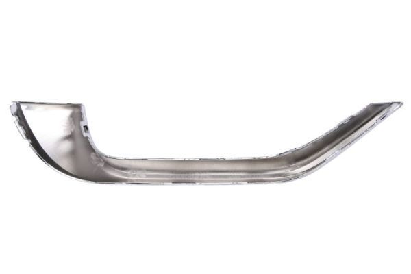 BLIC 5703-05-9683972P Trim/Protection Strip, bumper