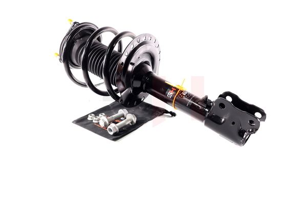 Vedruamort, GH GH-353057C01