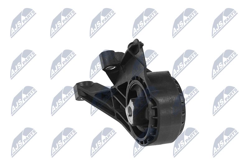 Paigutus, Mootor, NTY ZPS-PL-005
