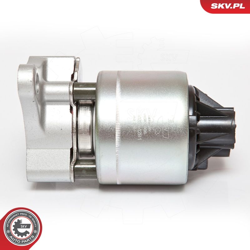 EGR-klapp, ESEN SKV 14SKV056