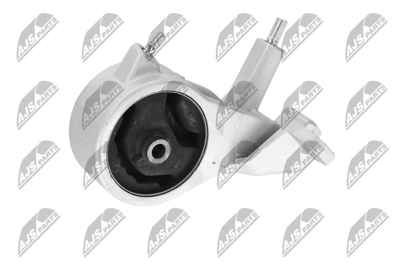 Paigutus, Mootor, NTY ZPS-DA-004