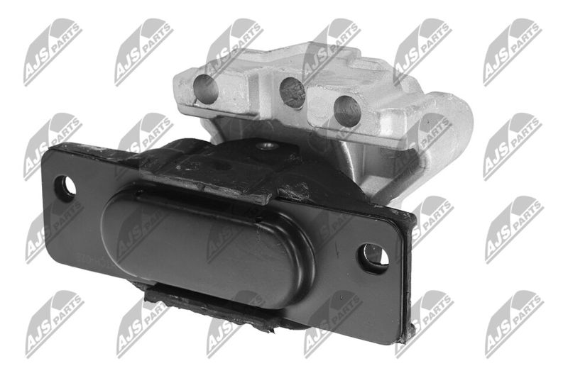 Paigutus, Mootor, NTY ZPS-CH-028