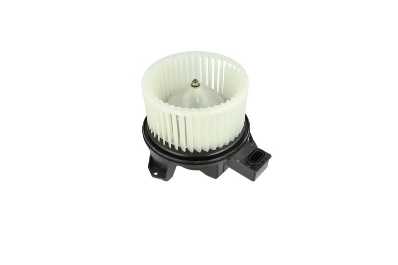 Salongipuhur, NRF 34345