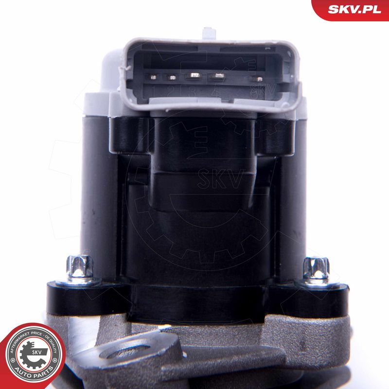 EGR-klapp, ESEN SKV 14SKV173