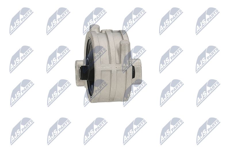 Paigutus, Mootor, NTY ZPS-MS-039
