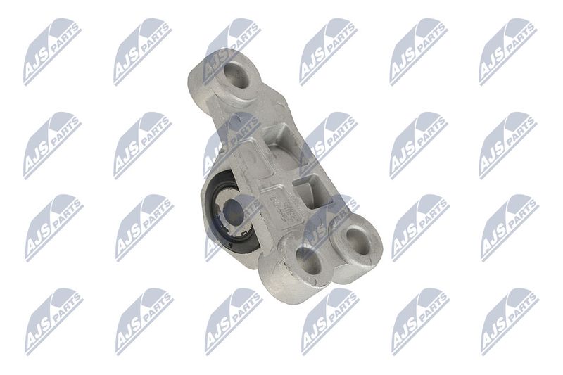 Paigutus, Mootor, NTY ZPS-CH-118