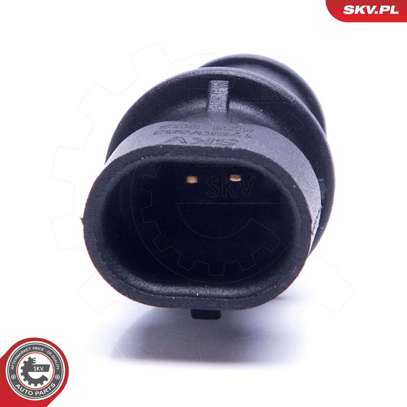 Andur, sisendõhu temperatuur, ESEN SKV 17SKV683