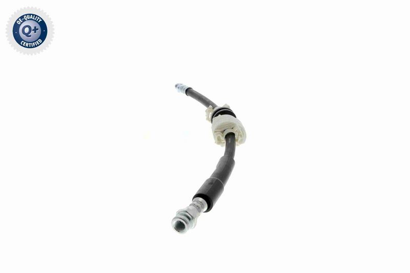 Furtun frana V24-0089 VAICO