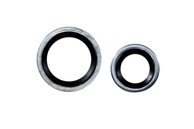 366200361_ACCESSOR_TD_1.JPG