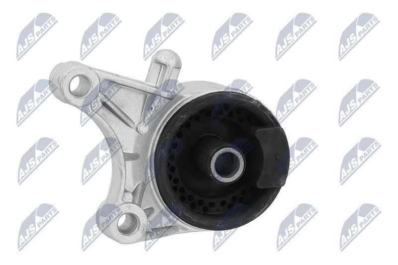 Paigutus, Mootor, NTY ZPS-PL-036