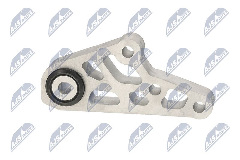 Paigutus, Mootor, NTY ZPS-CH-119