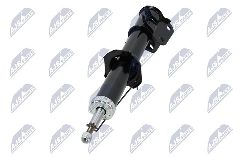Amort, NTY A-SU-012