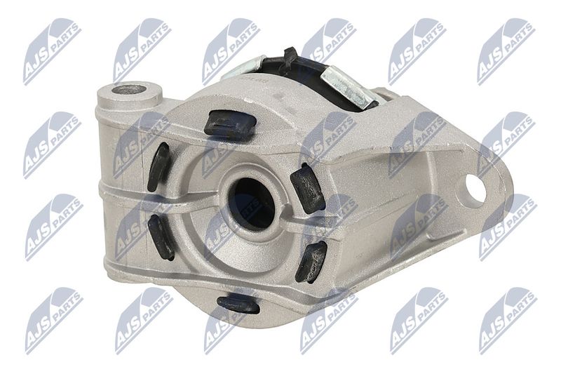 Paigutus, Mootor, NTY ZPS-PL-003