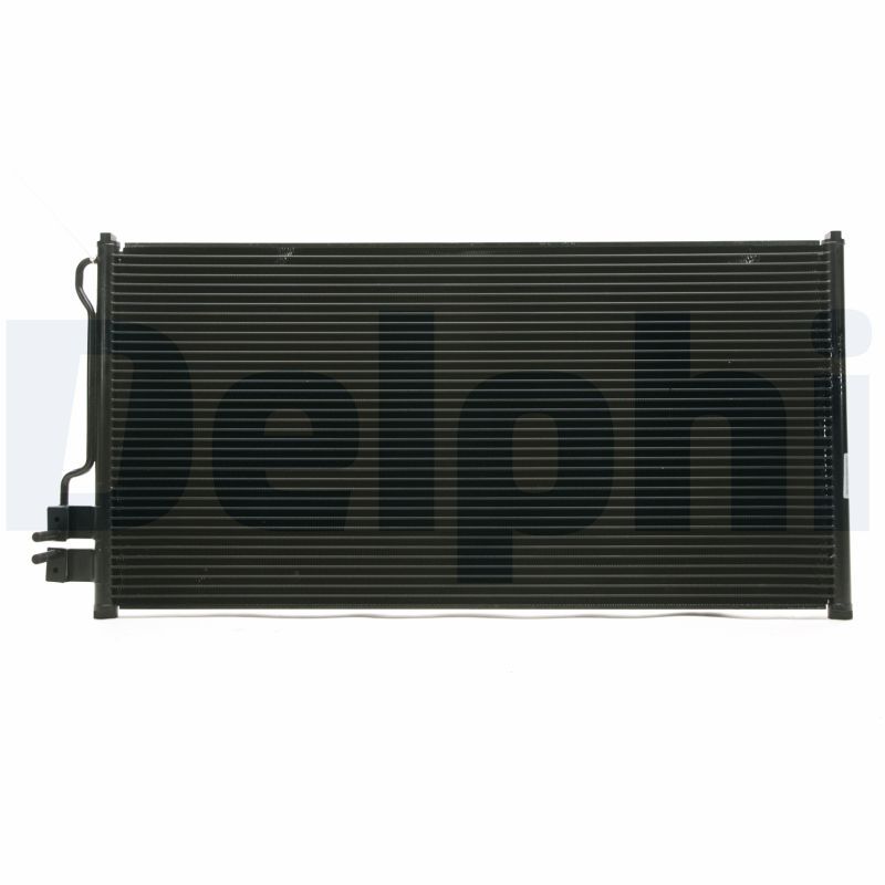 CF20079.JPG