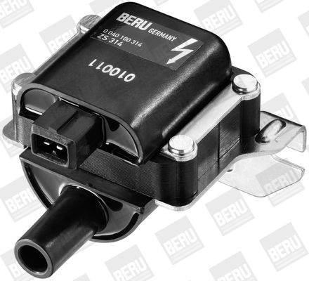 BorgWarner (BERU) ZS314 Ignition Coil